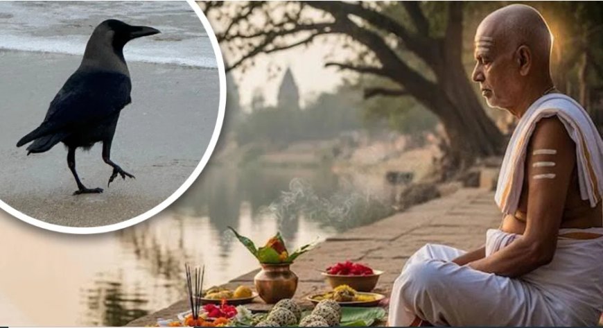 आखिर क्यों पितृ पक्ष को मानते हैं अशुभ, जब हमारे ही हैं तो क्यों करेंगे अमंगल?