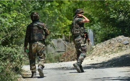 बारामूला में सुरक्षाबलों की बड़ी कामयाबी… आतंकियों का मददगार गिरफ्तार, भारी मात्रा में हथियार और गोला-बारूद बरामद